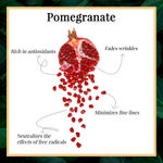 Buy Good Vibes Pomegranate Glow Toner | Rejuvenating, Hydrating | With Honey | No Parabens, No Alcohol, No Sulphates, No Animal Testing (200 ml) - Purplle