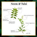 Buy Good Vibes Neem & Tulsi Glow Toner | Cleansing, Hydrating, Calming | No Parabens, No Alcohol, No Sulphates, No Mineral Oil, No Animal Testing (200 ml) - Purplle