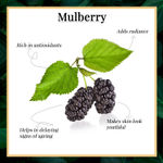 Buy Good Vibes Mulberry Glow Toner | Anti-Ageing, Lightening | No Parabens, No Alcohol, No Sulphates, No Mineral Oil, No Animal Testing (200 ml) - Purplle