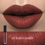 Buy Focallure Matte Liquid Lipstick # Burnt Umber FA24#3 - 2 gm - Purplle