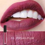 Buy Focallure Matte Liquid Lipstick # Persian Plum FA24#5 - 2 gm - Purplle
