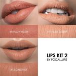 Buy Focallure 3 Pcs Matte Lips Crayon Lipstick Kit # 2 FA22#K2 - Purplle