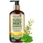 Buy WishCare Tea Tree Mint Shampoo - Anti Dandruff Shampoo - Cleansing Formula (300 ml) - Purplle