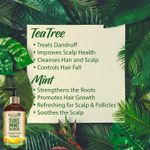 Buy WishCare Tea Tree Mint Shampoo - Anti Dandruff Shampoo - Cleansing Formula (300 ml) - Purplle