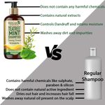 Buy WishCare Tea Tree Mint Shampoo - Anti Dandruff Shampoo - Cleansing Formula (300 ml) - Purplle