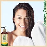 Buy WishCare Tea Tree Mint Shampoo - Anti Dandruff Shampoo - Cleansing Formula (300 ml) - Purplle