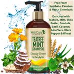 Buy WishCare Tea Tree Mint Shampoo - Anti Dandruff Shampoo - Cleansing Formula (300 ml) - Purplle