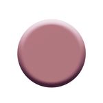 Buy Colorbar Nail Lacquer Petite (12 ml) - Purplle