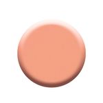 Buy Colorbar Nail Lacquer Peach Fun (12 ml) - Purplle