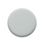 Buy Colorbar Nail Lacquer Clouded (12 ml) - Purplle