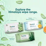 Buy Himalaya Moisturizing Aloe Vera Facial Wipes 25's - Purplle