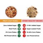 Buy True Elements Fruit And Nut Muesli (400 g) - Purplle