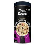 Buy True Elements Seeds And Berries Muesli (400 g) - Purplle