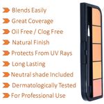 Buy Bonjour Paris Professional Satin Matte Concealer Palette, Mudge brown (15 g) - Purplle
