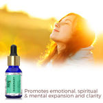Buy Rey Naturals Rosemary Oil (15 ml) - Purplle