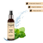 Buy Vayam Ayurveda Pudina (Mint) Toning Face Mist concocted with Vitamin B5 (50 ml) - Purplle