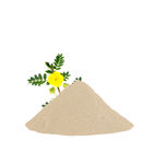 Buy Alps Goodness Health & Wellness Powder - Gokshur (50 gm) to Enhance Overall Well-Being - Purplle
