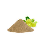 Buy Alps Goodness Health & Wellness Powder - Amla (50 gm) to Enhance Overall Well-Being - Purplle