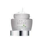 Buy Lotus Herbals Whiteglow Skin Whitening & Brightening Nourishing Night Cream, 40g - Purplle