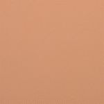Buy Wet n Wild Photo Focus Pressed Powder -Tan Beige (Tan Beige) (7.5 g) - Purplle