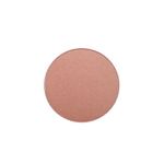 Buy PAC High Pigmented Blusher - 01 (2.5 g) - Purplle