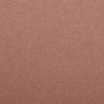 Buy PAC High Pigmented Blusher - 01 (2.5 g) - Purplle