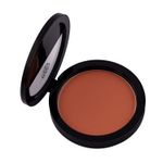 Buy PAC Studio Powder Blusher - 17 (12 g) - Purplle