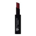 Buy PAC Soft Matte Cream Lipstick - 11 (Venice) (3.8 g) - Purplle