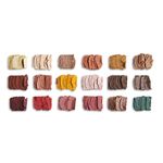 Buy Makeup RevolutionA x Roxxsaurus Ride or Die Shadow Palette (14.4 g) (Multi) - Purplle