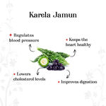 Buy Alps Goodness Health Juice - Karela Jamun (300 ml) - Purplle