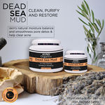 Buy Avnii Organics Dead Sea Mud Mask Great For Face, Acne & Blackheads Facial Exfoliator, Cleanser, Acne Reduction treatment, (170 g) - Purplle