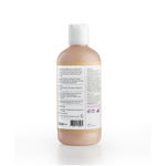 Buy Plum Vanilla & Fig Body Wash (300 ml) - Purplle