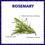 Buy Purplle Essential Oil - Rosemary | Quick Absorption | All Skin Types | Anti-acne | Multi-use | Nourishing (10 ml) - Purplle