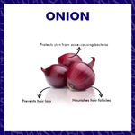 Buy Purplle Essential Oil - Onion | Quick Absorption | All Skin Types | Anti-acne | Multi-use | Nourishing (10 ml) - Purplle