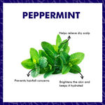 Buy Purplle Essential Oil - Peppermint | Quick Absorption | All Skin Types | Anti-acne | Multi-use | Nourishing | Dimishes Scarring (10 gms) - Purplle