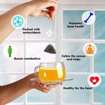 Buy Tea Treasure Darjeeling Super Green Tea for Weight Management - 1 Teabox (18 Pyramid Tea Bags) - Purplle