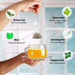 Buy Tea Treasure Super Mint Green Tea - Antioxidants Rich, Refreshing Tea - 1 Teabox (18 Pyramid Tea Bags) - Purplle