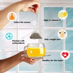 Buy Tea Treasure Sencha Green Tea - Energizing Tea, Antioxidants Rich - 1 Teabox (18 Pyramid Tea Bags) - Purplle