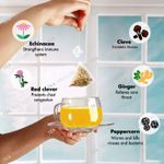 Buy Tea Treasure Cold Care Tea - Strengthens immune system Fights cold and flu - Detox Tea - 1 Teabox (18 Pyramid Tea Bags) - Purplle