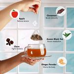 Buy Tea Treasure Apple Spice Fruit Tea - Infusion of Apple and Cinnamon with Assam Black Tea - 1 Teabox (18 Pyramid Tea Bags) - Purplle