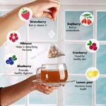Buy Tea Treasure Berry Blast Fruit Tea - A Blend of Berries with natural herbs - 1 Teabox (18 Pyramid Tea Bags) - Purplle