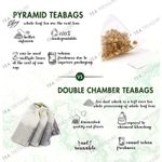 Buy Tea Treasure Peppermint Herbal Infusion Tea - Antioxidants Rich Refreshing Tea - 1 TeaBox (18 Pyramid Tea Bags) - Purplle