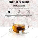 Buy Tea Treasure Spearmint Herbal Infusion Tea - Antioxidants Rich Refreshing Tea - 1 Teabox (18 Pyramid Tea Bags) - Purplle