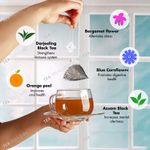 Buy Tea Treasure Earl Grey Tea - Anti-oxidants Rich Black Tea - 1 Teabox (18 Pyramid Tea Bags) - Purplle