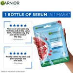 Buy Garnier Skin Naturals Hydra Bomb Serum Sheet Mask (Blue) (32 g) - Purplle