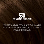 Buy L'Oreal Paris Casting Creme Gloss Hair Color - Praline Brown 530 (87.5 g + 72 ml) - Purplle