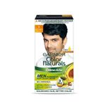 Buy Garnier Color Naturals Men Permanent Hair Colour Cream - Natural Black 1 (30 ml + 30 g) - Purplle