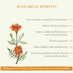 Buy Just Herbs Marigold mango lip contour balm (8 gm) - Purplle