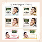 Buy Roop Mantra Fruit Facial Kit (240 g) - Purplle