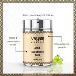 Buy Vayam Ayurveda Hair Growth Pack - Amla (40 g) | Ayurvedic | Natural | Herbal | Pure | Sulphate free | Paraben Free - Purplle